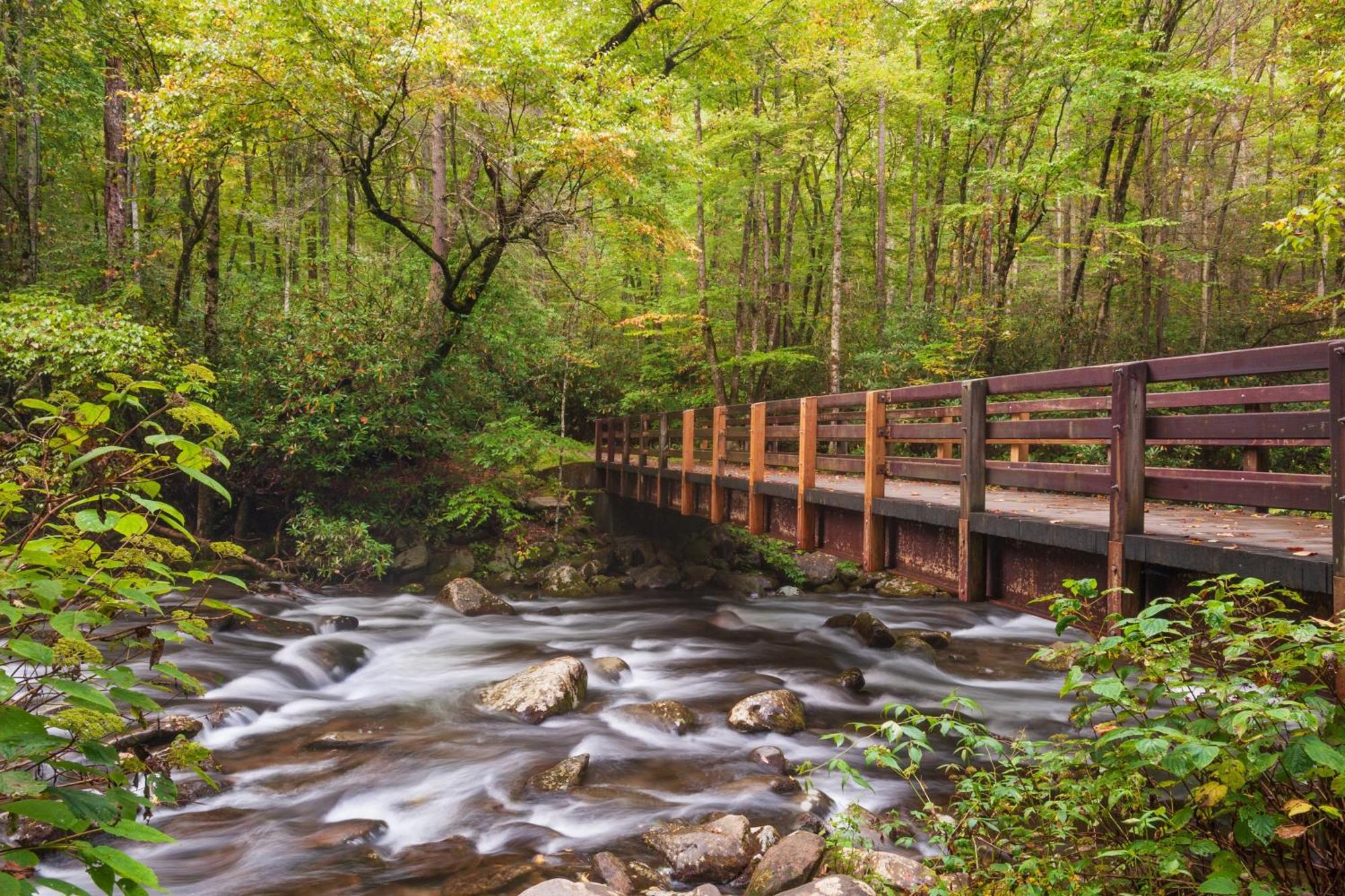 River Breeze, Wifi, 1089 Free Tickets Each Paid Day, Dollywood And More Pigeon Forge Exterior photo